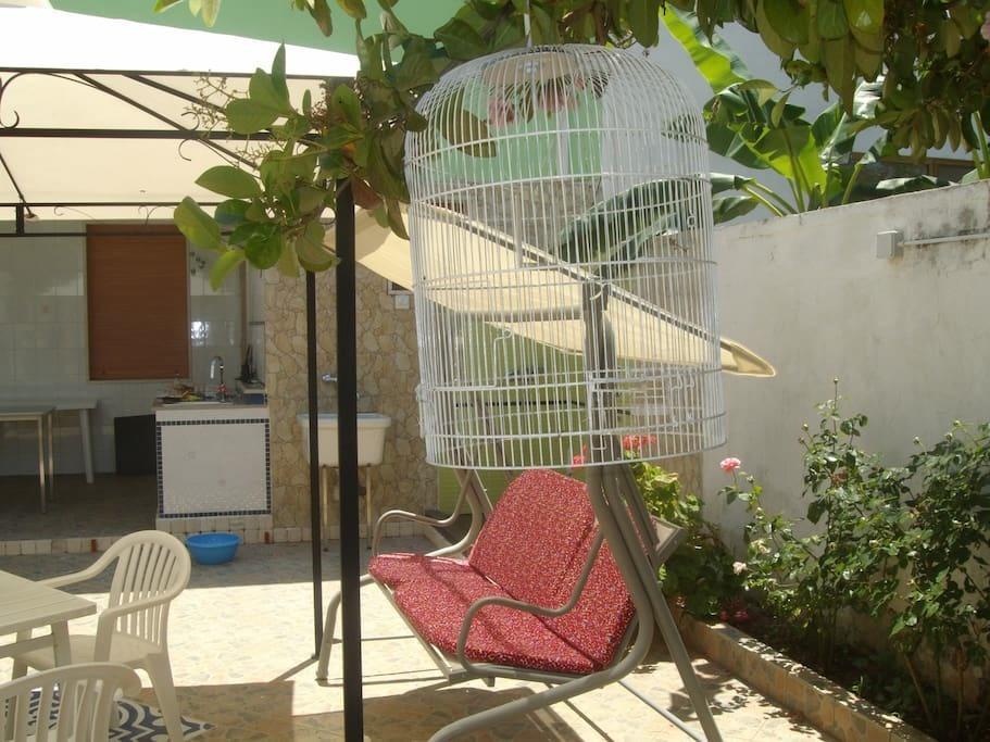Villino Claudia 30 Mt Mare Βίλα Porto Cesareo Εξωτερικό φωτογραφία