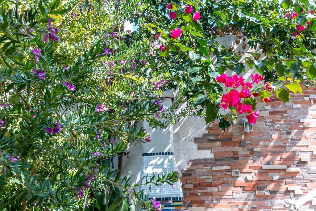 Villino Claudia 30 Mt Mare Βίλα Porto Cesareo Εξωτερικό φωτογραφία